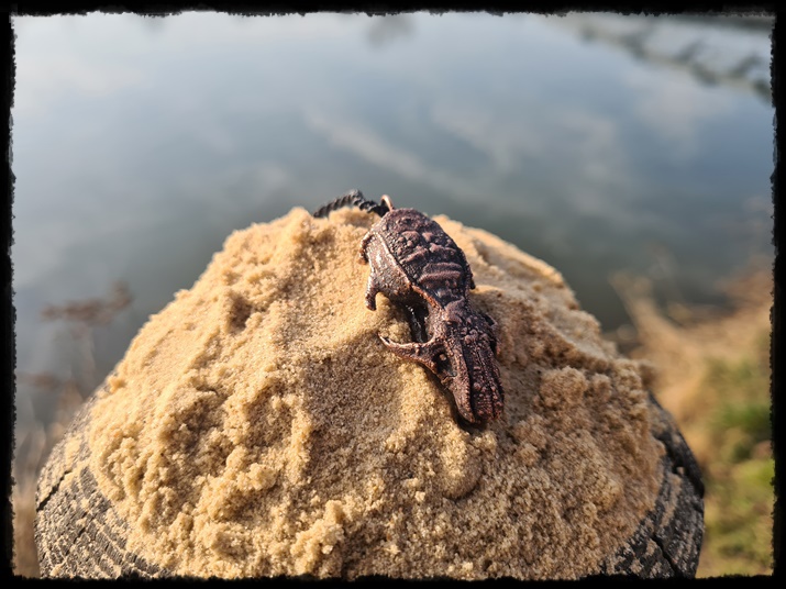 Wisior miedziana czaszka szczura