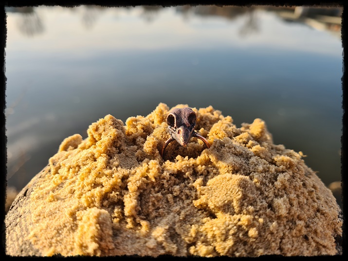 Pierścionek z miedzianą czaszką ptasią